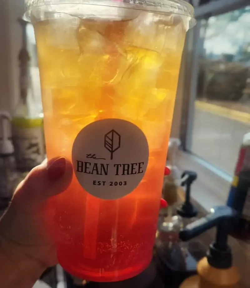 A drink from The Bean Tree window